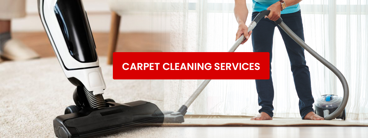 Best Carpet Cleaning Services in Gurgaon